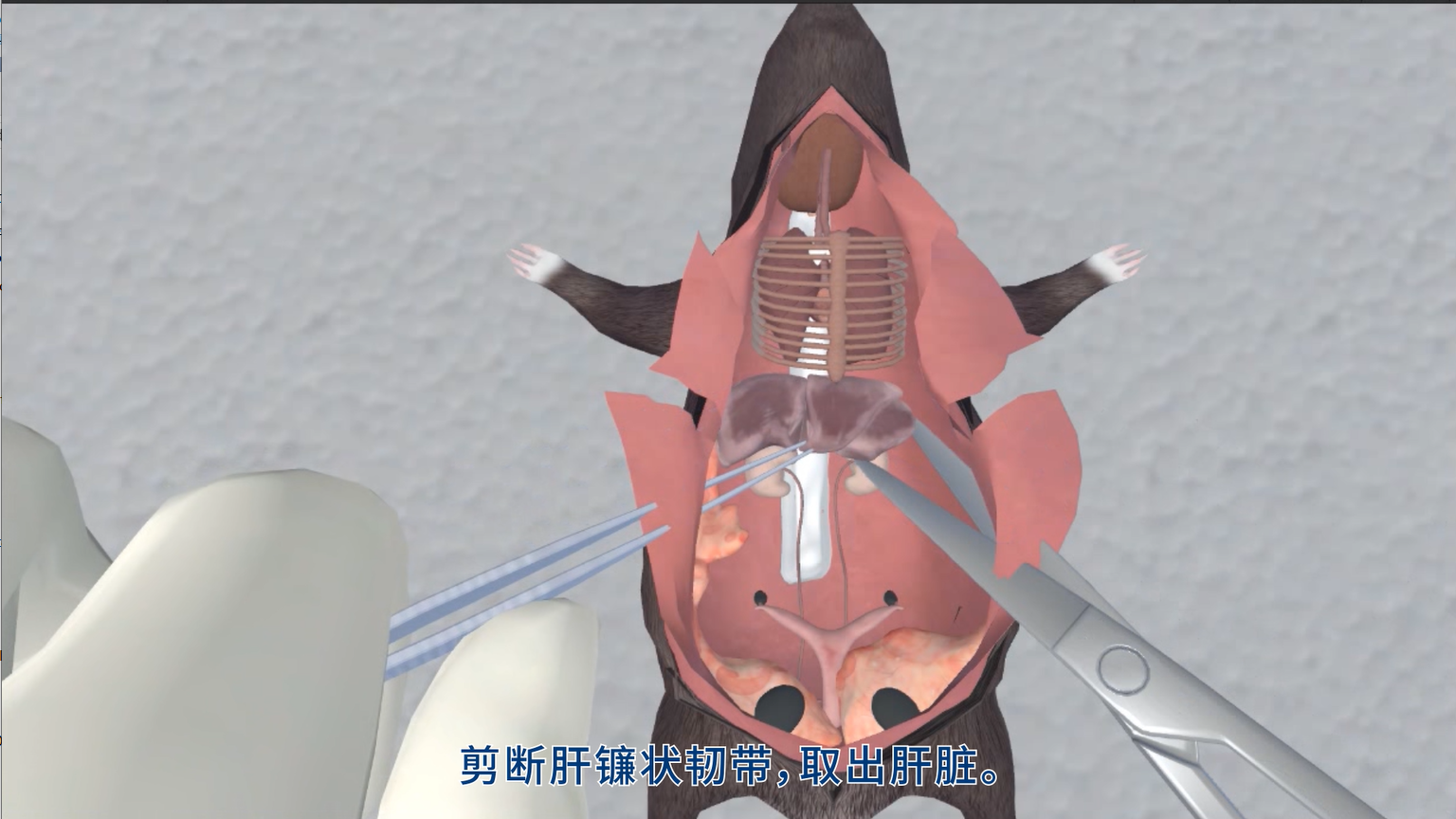 北京華銳矩陣世界